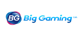 Big Gaming Logo